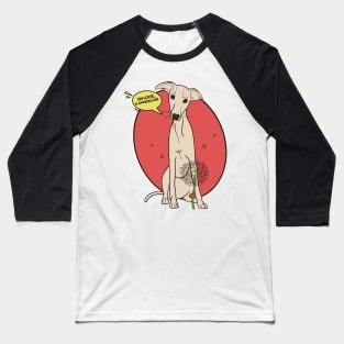 Funny greyhound design; Fawn Italian greyhound with a dandelion flower Baseball T-Shirt